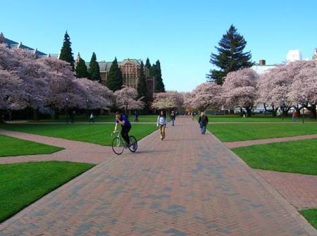 赴美留学必知！美国大学和学位究竟有哪些类型？