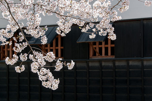 日本