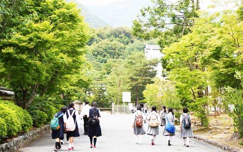 日本留学申请:10-12月应该准备哪些材料? 日本留学申请:10-12月应该准备哪些材料?