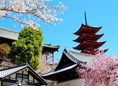 日本语言学校暴增 择校需谨慎 昆明新东方前途出国 日本语言学校暴增 择校需谨慎 昆明新东方前途出国