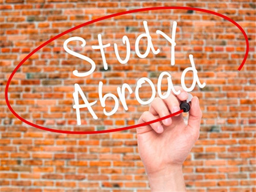新西兰留学选校指南 怎么选择有保障的大学?图1