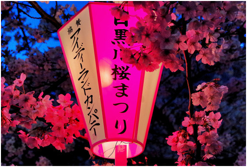 日本留学费用