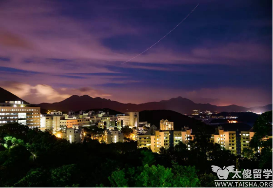 香港大学专业