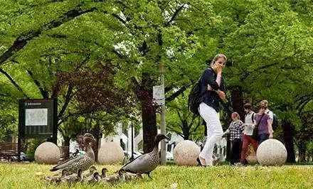 澳洲排名前十大学