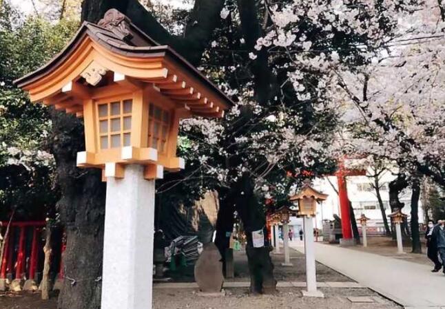 日本语言学校暴增 留学生需谨慎选择