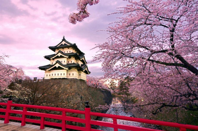 日本社会学专业的申请全解析