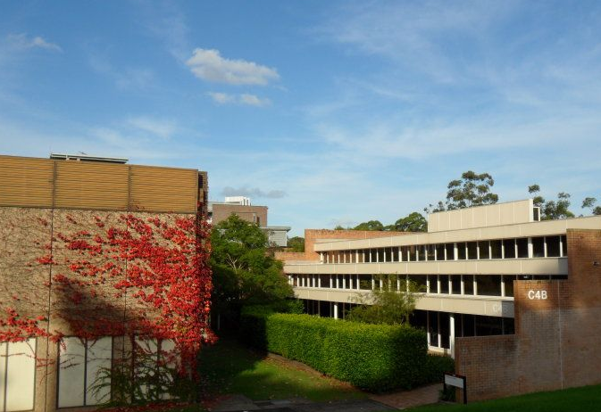 麦考瑞大学雅思要求