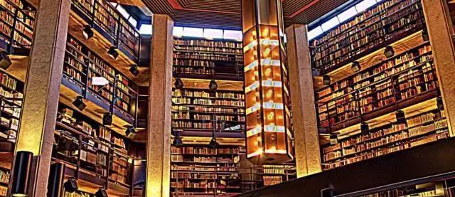 Image result for å æ¿å¤§å¤§å­¦