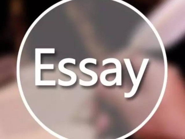 与其羡慕支付宝锦鲤下半生不用工作，还不如先搞定Essay再说