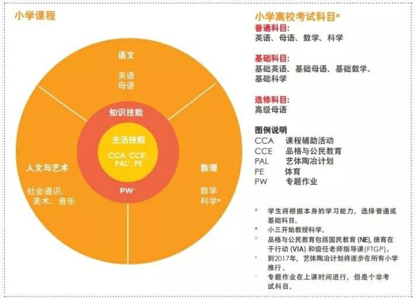 小学课程.jpg