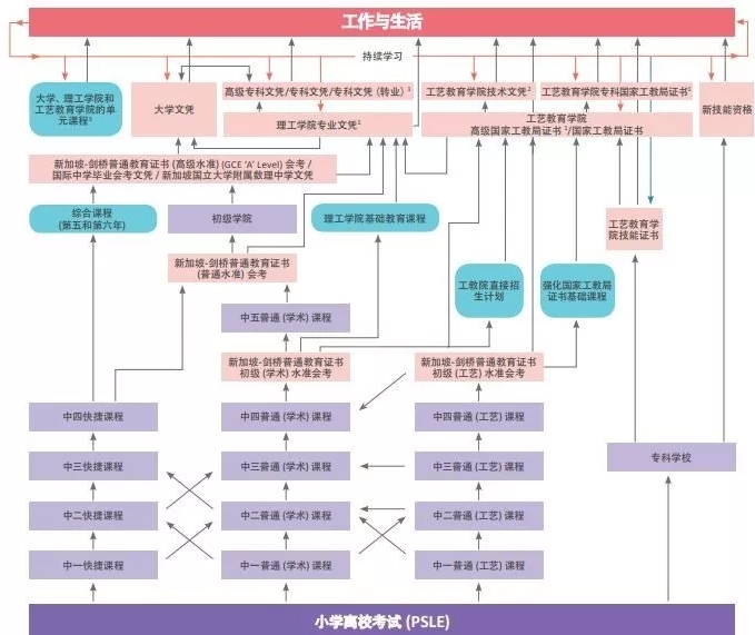 中学流程.jpg