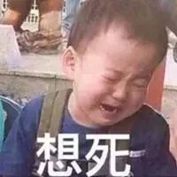 澳国立大学两大热门专业提前满位截止！这里来帮你支招！