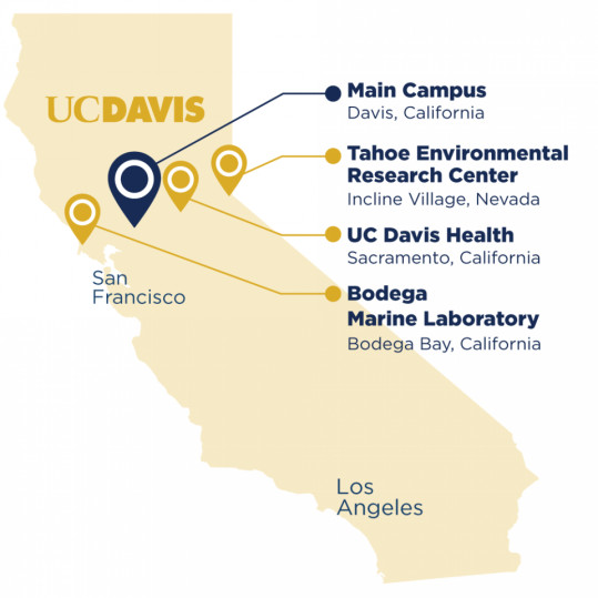录取抢先知!加州急先锋UC Davis放榜! 录取抢先知!加州急先锋UC Davis放榜!