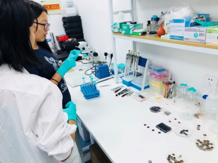 【招生】重点大学实验室项目之化学方向科研营