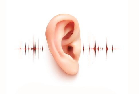 坎特伯雷大学听觉学硕士（Master of Audiology）专业