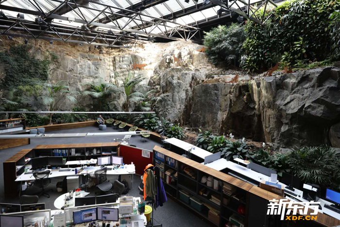 与大自然融为一体的教授办公室