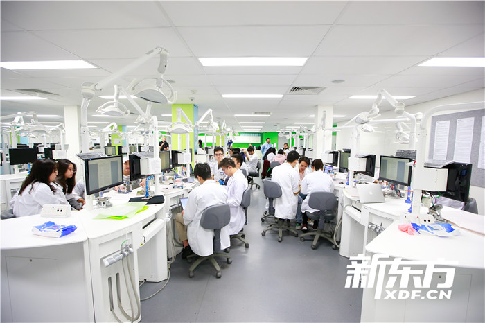 阿德莱德大学牙医专业实验室
