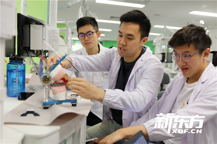 阿德莱德大学牙医专业学生