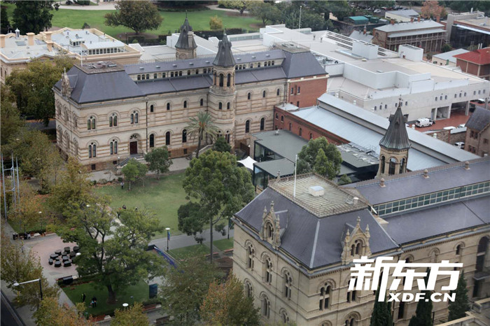 阿德莱德大学校园