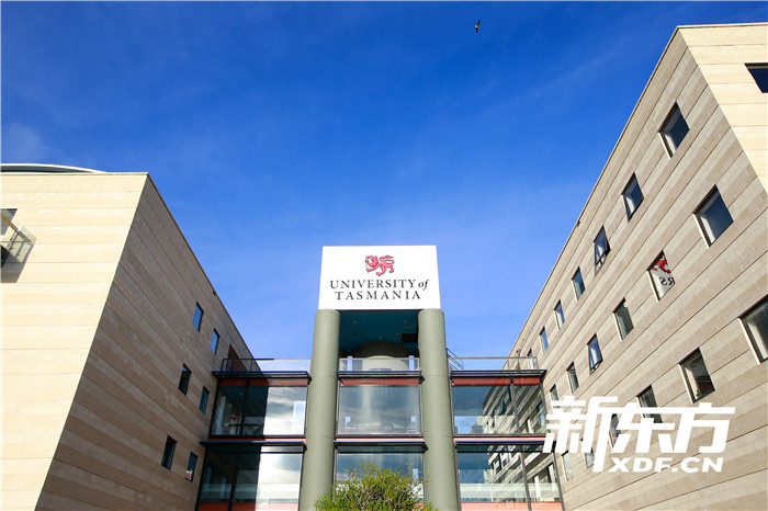 塔斯马尼亚大学