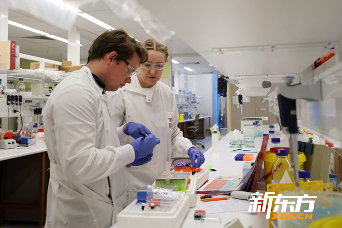 转化医学研究院里正在做实验的两位科学家 转化医学研究院里正在做实验的两位科学家