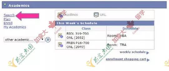 干货|加拿大女王大学新生留学选课攻略