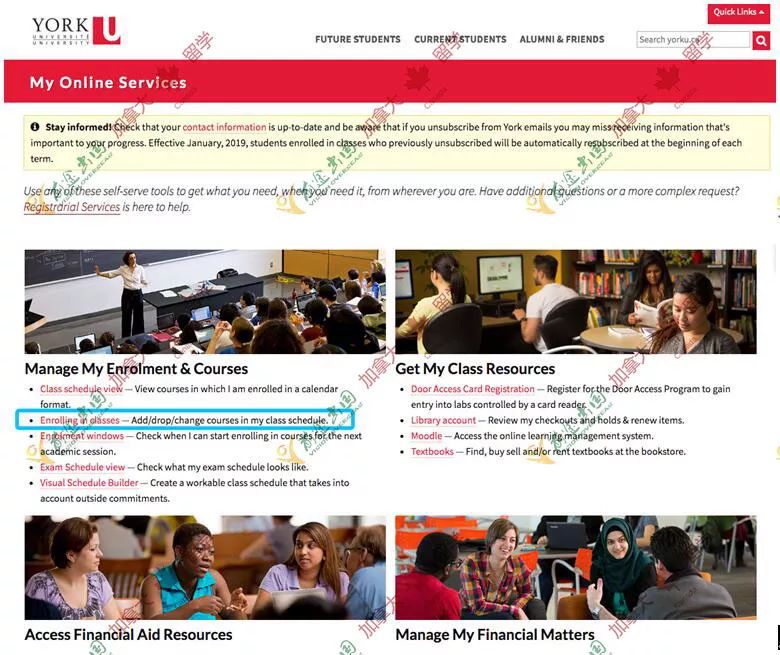 新生必备|加拿大约克大学超全选课攻略 新生必备|加拿大约克大学超全选课攻略