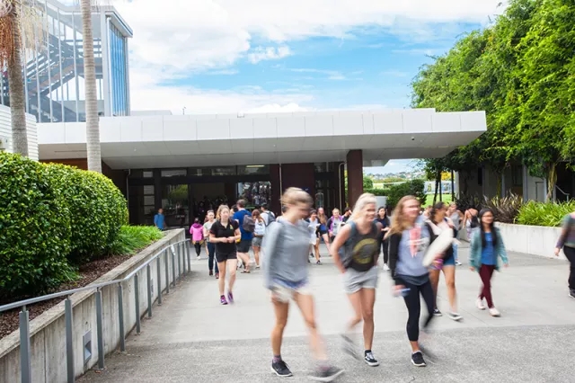 奥克兰理工大学商科专业特色