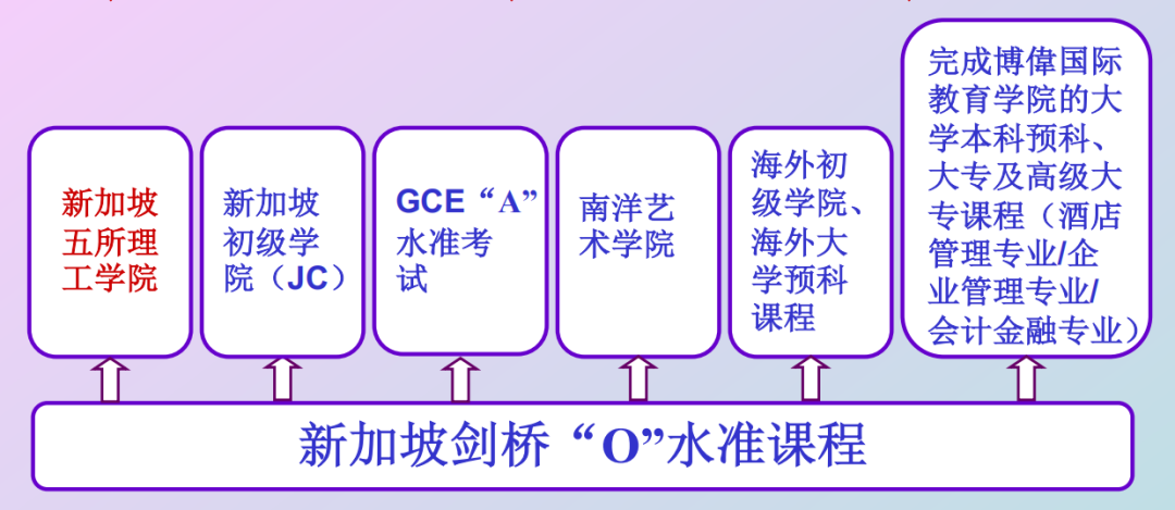 O水准的录取标准.png