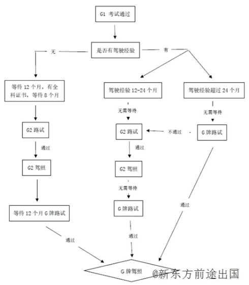 W020200628371983791545.png (490Ã562)