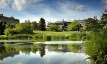 university of bath