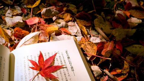 英国留学学校宿舍的介绍 英国留学学校宿舍的介绍