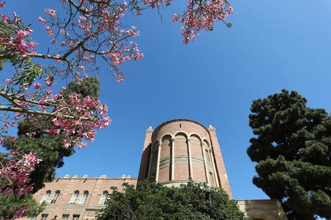 家境一般如何出国留学