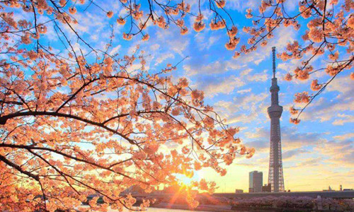 日本留学一年费用是多少钱