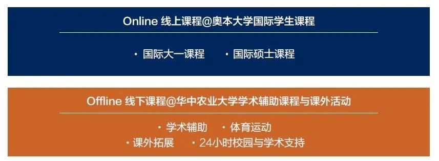 这些美国大学的课程在国内就能就读啦！