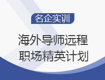 海外导师远程职场精英计划