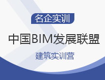 中国BIM发展联盟建筑实训营