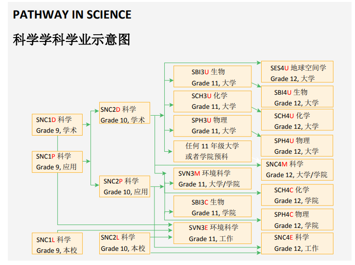 【选课指南】加拿大留学家庭必备！安省高中选课超强解析！