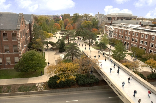 新西兰怀卡托大学教育专业怎么样？