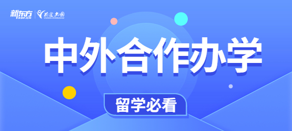 中外合作项目高考生达到什么条件才能报考？