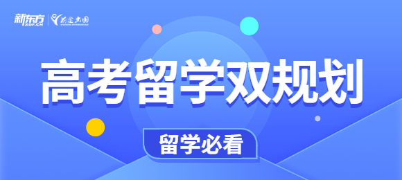 高考留学双保险应该怎么规划时间? 高考留学双保险应该怎么规划时间?