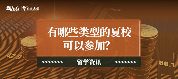 有哪些类型的夏校可以参加？