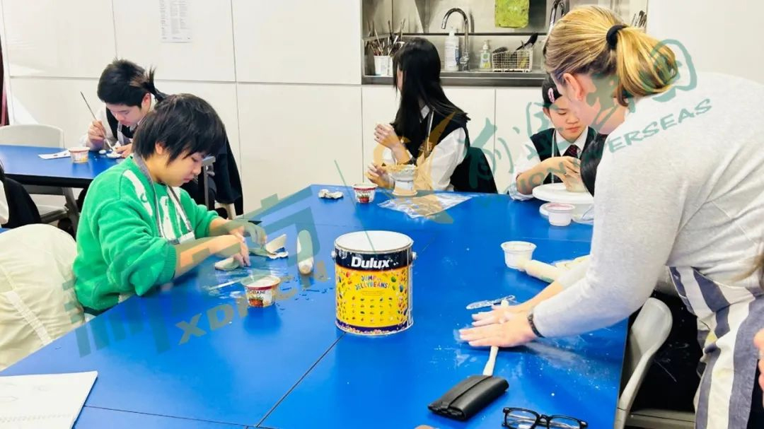 【推荐】澳新中小学的短期留学竟然如此有趣,花费不高学习内容还好,还不快来看看