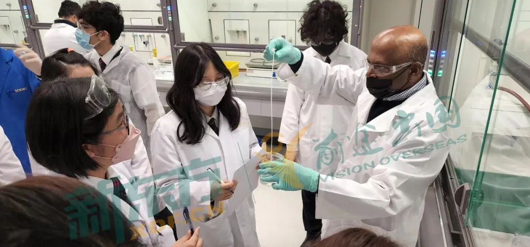 【推荐】澳新中小学的短期留学竟然如此有趣,花费不高学习内容还好,还不快来看看