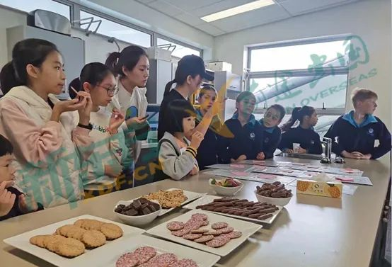 【推荐】澳新中小学的短期留学竟然如此有趣,花费不高学习内容还好,还不快来看看