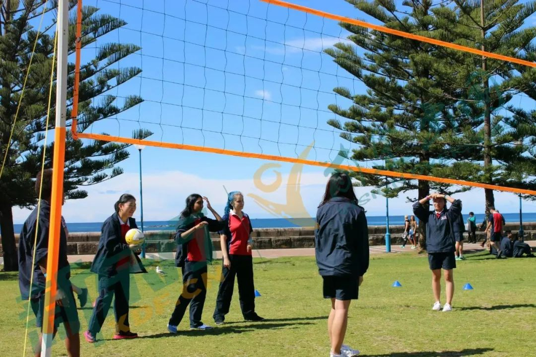 【推荐】澳新中小学的短期留学竟然如此有趣,花费不高学习内容还好,还不快来看看