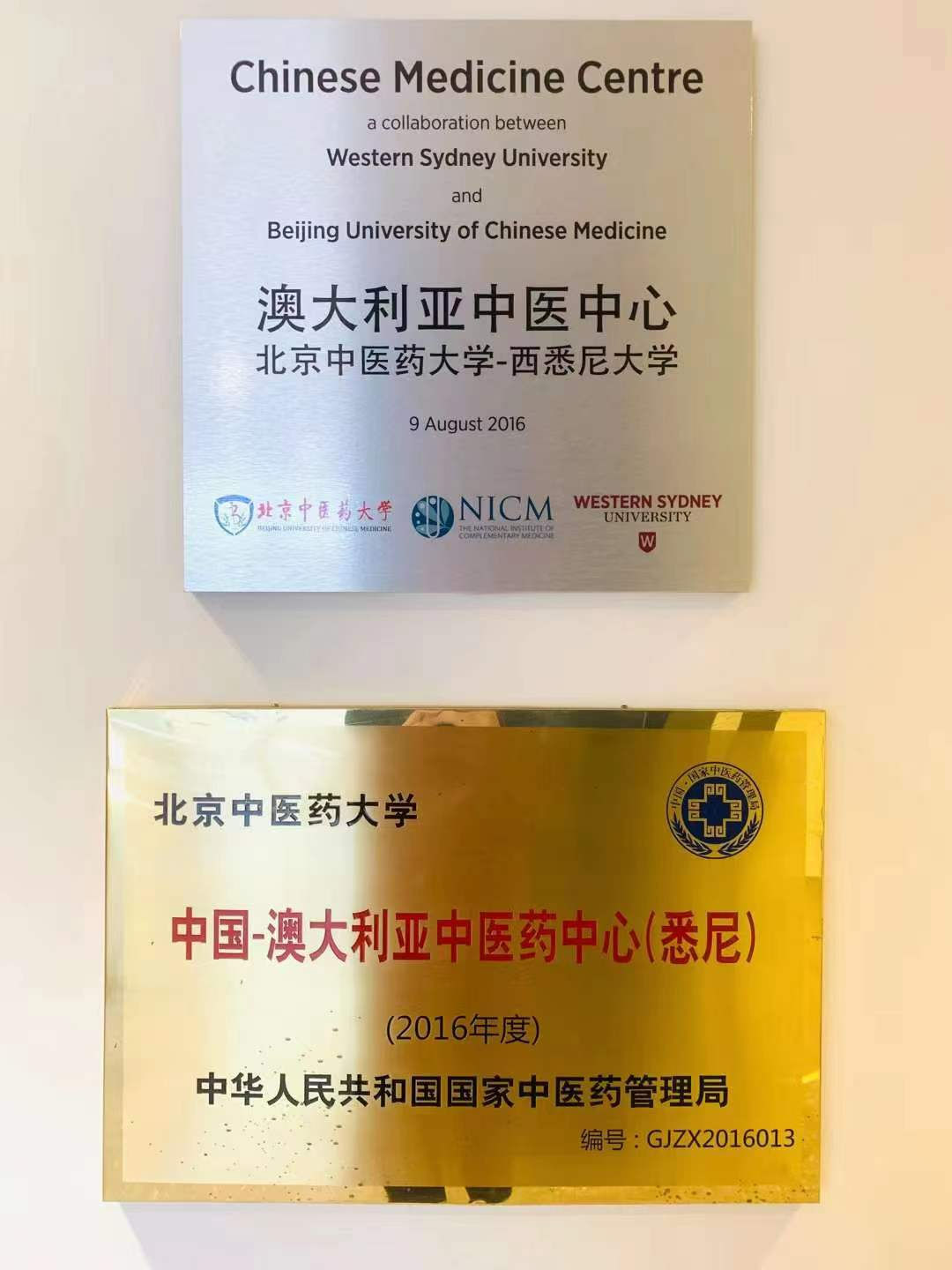 学中医还能留学？还能留在澳新工作拿高薪？