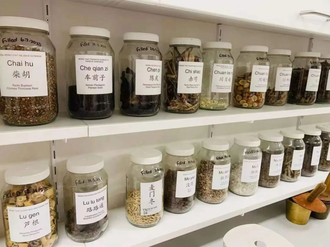 【指南】学中医还能留学？还能留在澳新工作拿高薪？