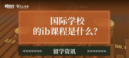 国际学校的ib课程是什么？