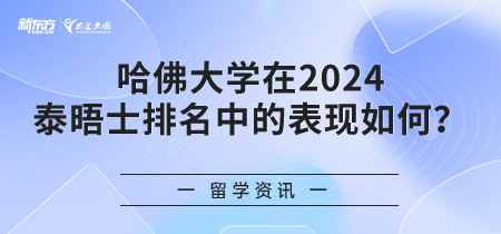 哈佛大学在2024年泰晤士排名中的表现如何？